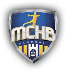 Partenaires Newteam MCHB