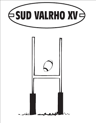 Partenaires Newteam Sudvalrho rugby